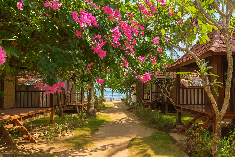 hotel revenue services in lombok, gili trawangan, labuan bajo